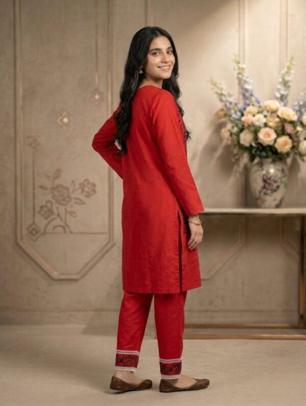 Red embroidered 2-piece women suit with black floral thread work front view